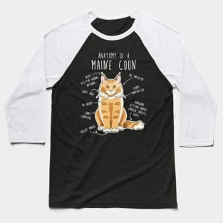 Maine Coon Cat Anatomy Baseball T-Shirt